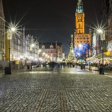 Happy Oldnova Deluxe 335 *