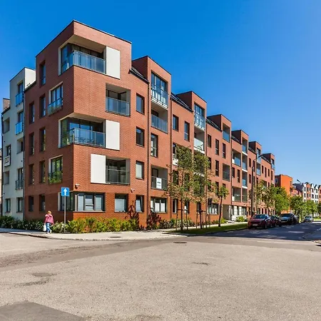 Happy Oldnova Deluxe 335 *